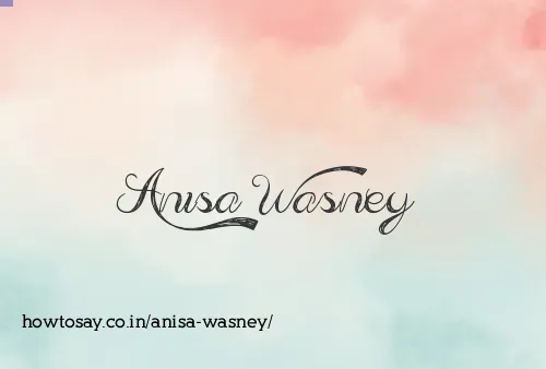 Anisa Wasney