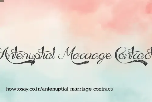 Antenuptial Marriage Contract