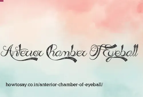 Anterior Chamber Of Eyeball