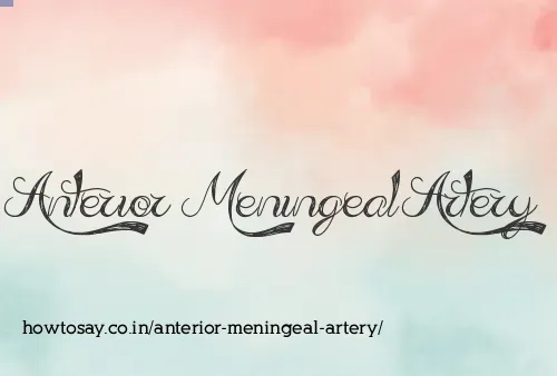 Anterior Meningeal Artery