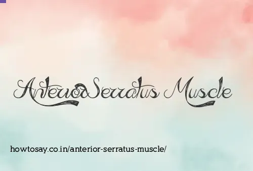 Anterior Serratus Muscle