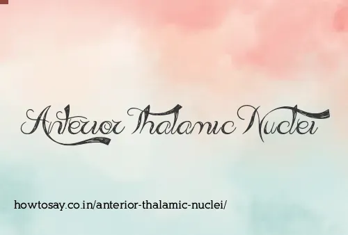 Anterior Thalamic Nuclei