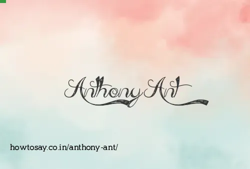 Anthony Ant