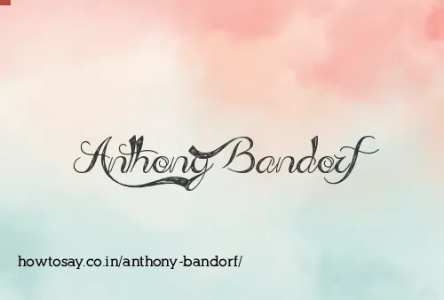 Anthony Bandorf