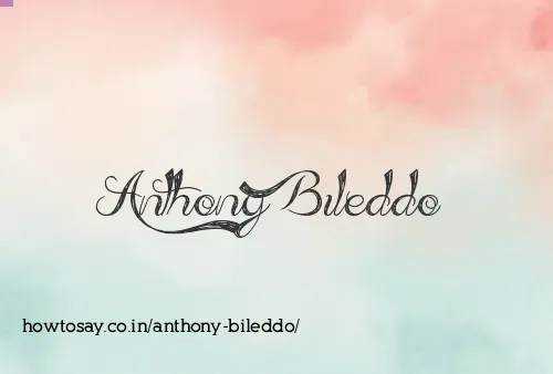 Anthony Bileddo