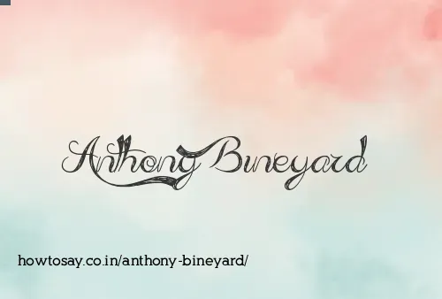 Anthony Bineyard