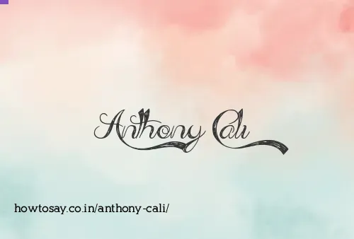 Anthony Cali