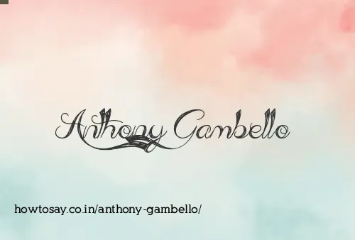 Anthony Gambello