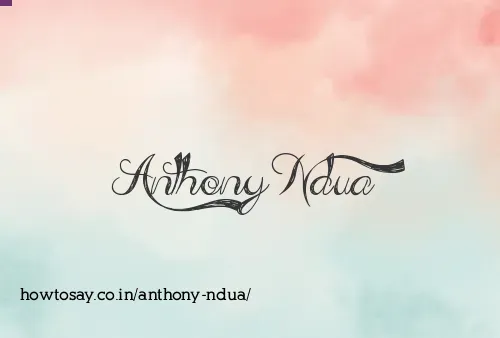 Anthony Ndua