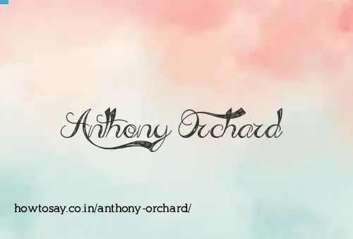 Anthony Orchard