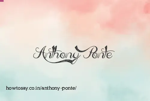 Anthony Ponte
