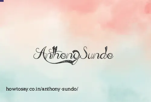 Anthony Sundo