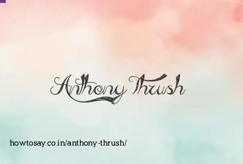 Anthony Thrush