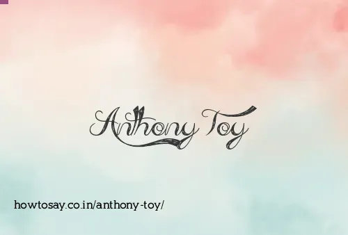 Anthony Toy