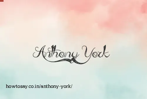 Anthony York