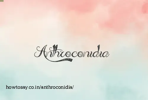 Anthroconidia
