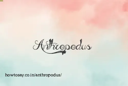 Anthropodus