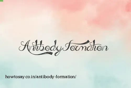 Antibody Formation