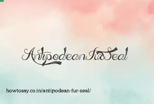 Antipodean Fur Seal