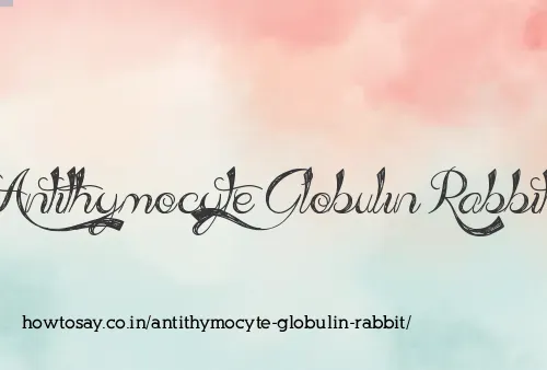 Antithymocyte Globulin Rabbit
