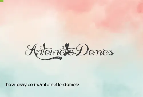 Antoinette Domes