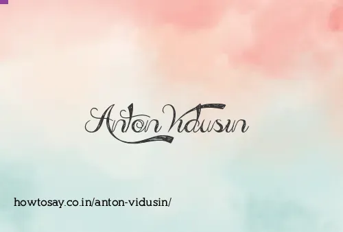 Anton Vidusin