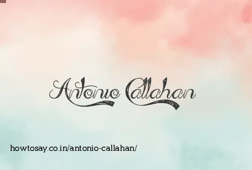 Antonio Callahan