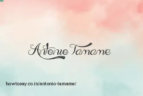 Antonio Tamame