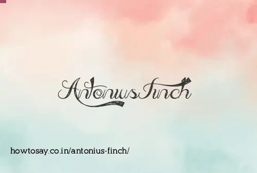 Antonius Finch
