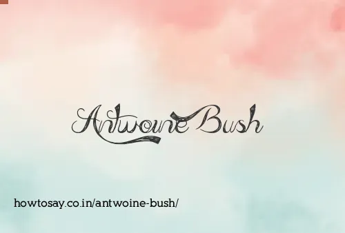 Antwoine Bush