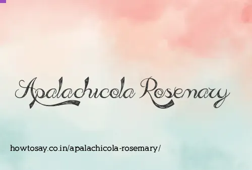 Apalachicola Rosemary
