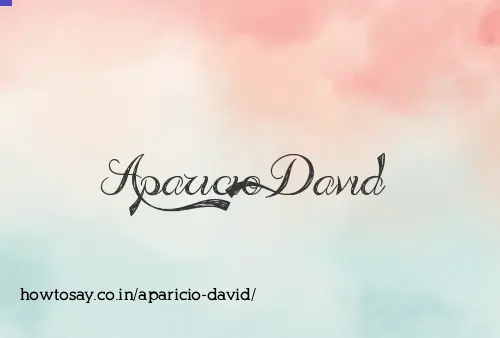 Aparicio David