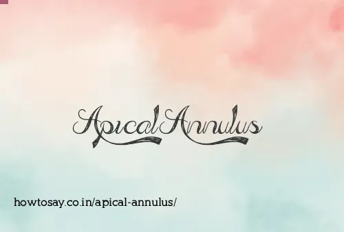 Apical Annulus