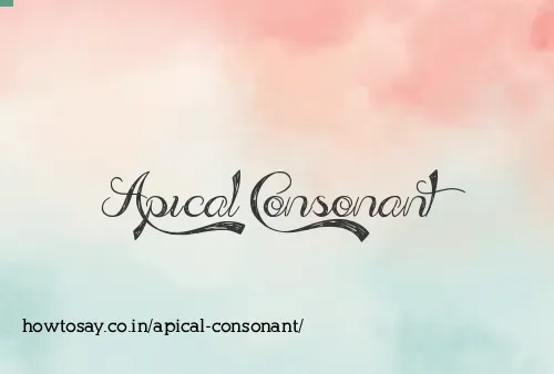 Apical Consonant