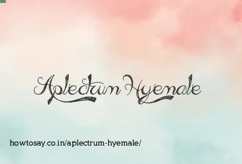 Aplectrum Hyemale