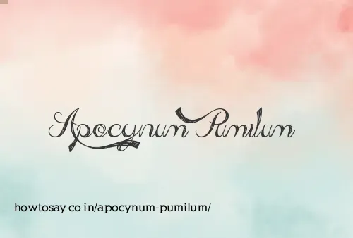 Apocynum Pumilum