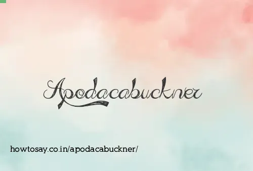 Apodacabuckner