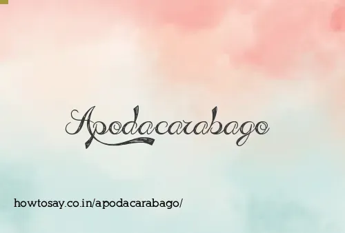 Apodacarabago