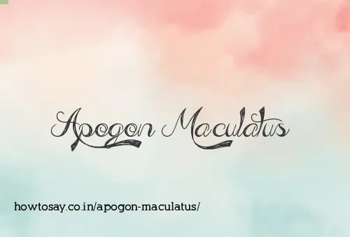 Apogon Maculatus