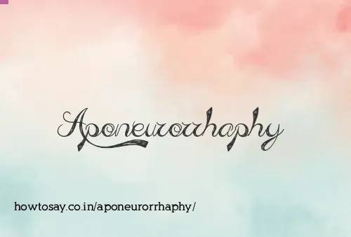 Aponeurorrhaphy