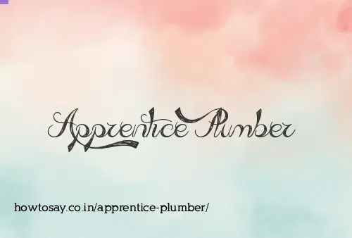 Apprentice Plumber