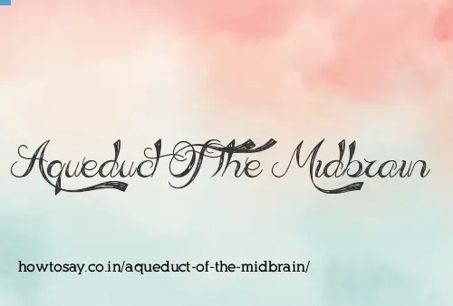 Aqueduct Of The Midbrain