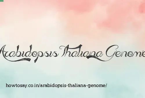 Arabidopsis Thaliana Genome