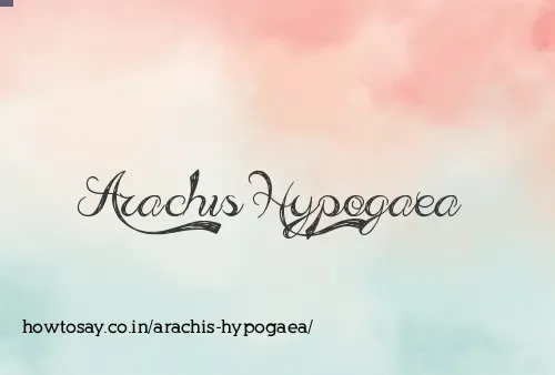 Arachis Hypogaea