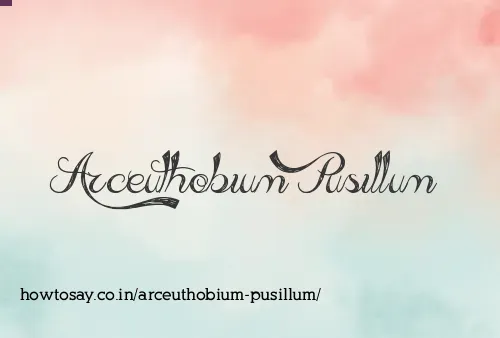 Arceuthobium Pusillum