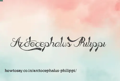 Arctocephalus Philippi