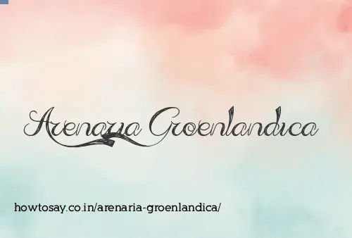 Arenaria Groenlandica