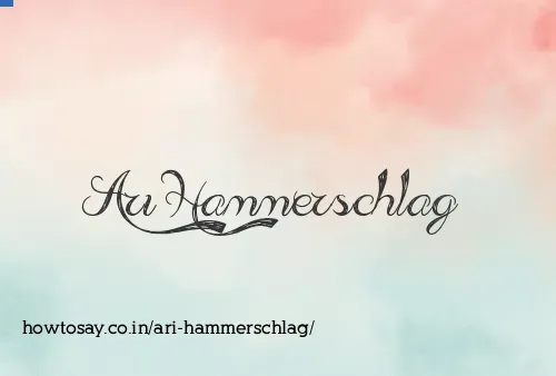 Ari Hammerschlag
