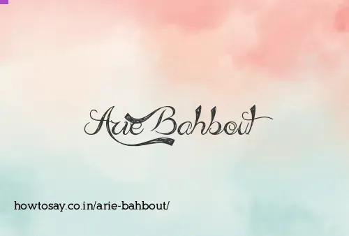 Arie Bahbout