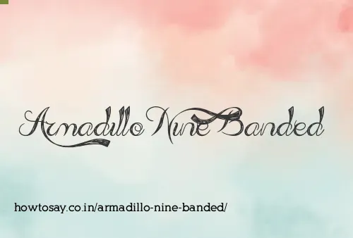 Armadillo Nine Banded
